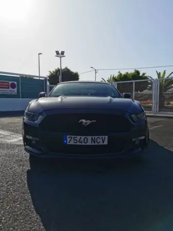 Foto Ford Mustang EcoBoost Cabriolet – 6