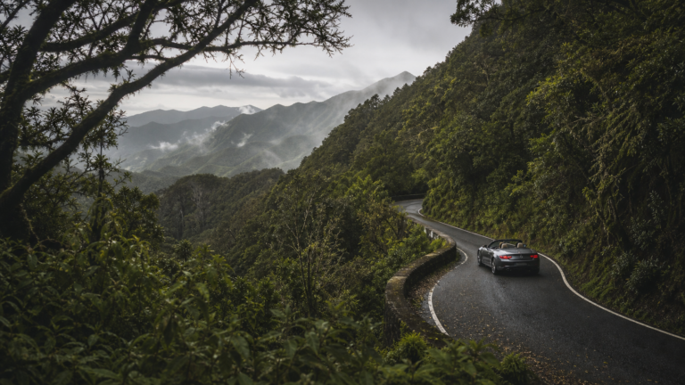 Anaga Rural Park Road Trip: Driving Tenerife Ancient Laurel Cloud Forest